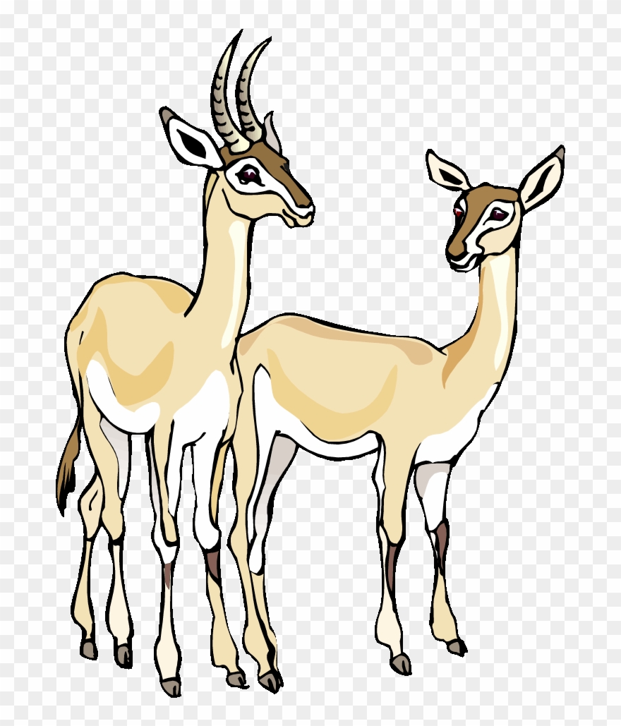 Free Gazelle Clipart Baby Llama Clip Art Baby Llama - Gazelle Clipart Free - Png Download