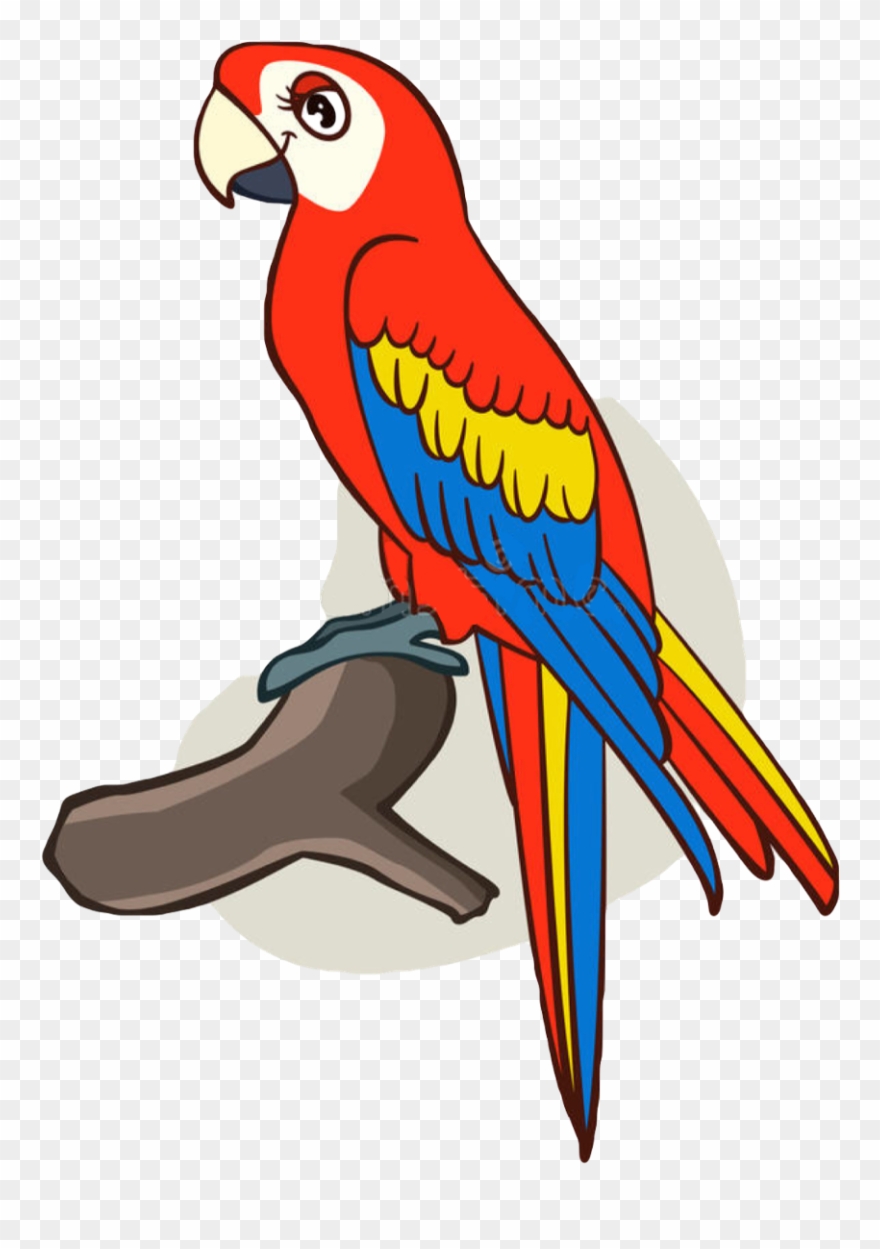 Report Abuse - Cute Parrot For Drawing Clipart