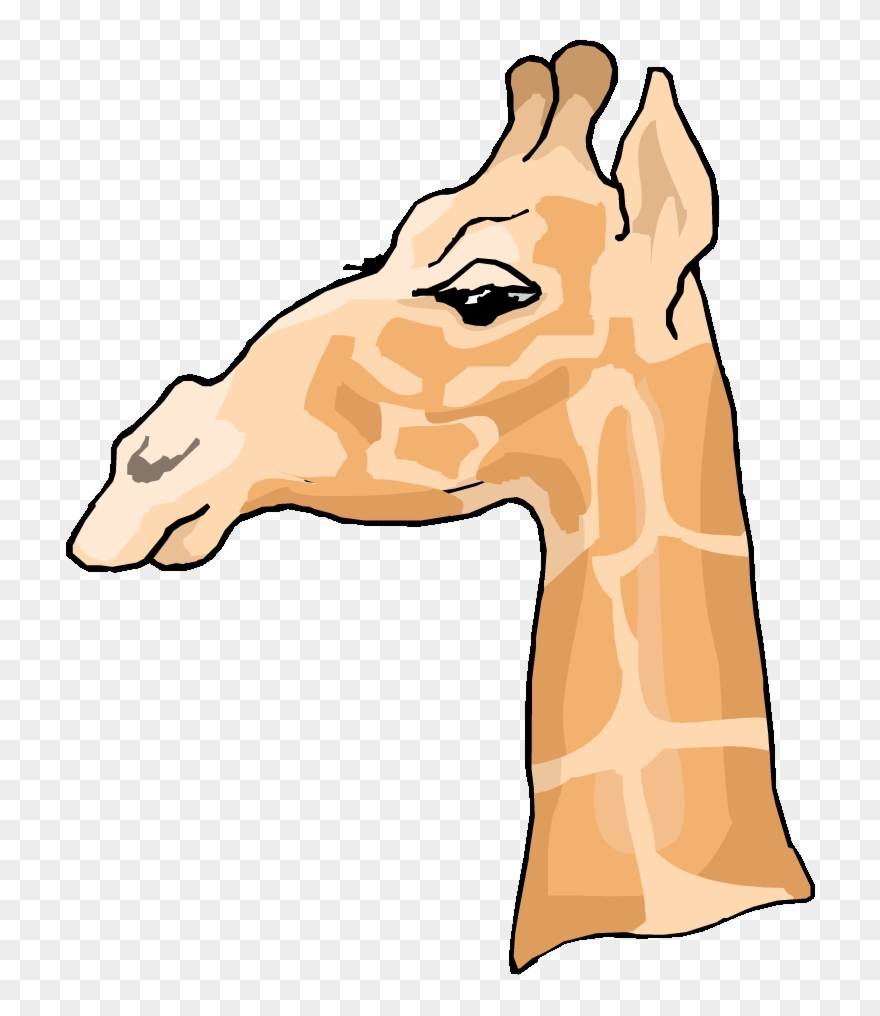 Free Giraffe Clipart - Side Profile Of A Giraffe - Png Download