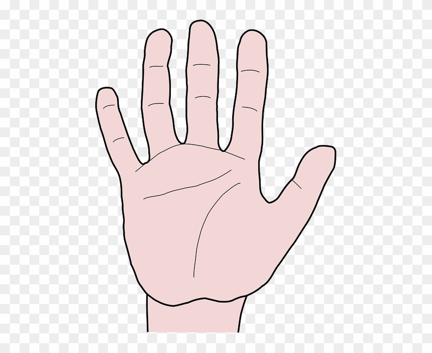Hand, Fingers, Thumb, Index Finger, Pointer Finger - Finger Animasi Clipart