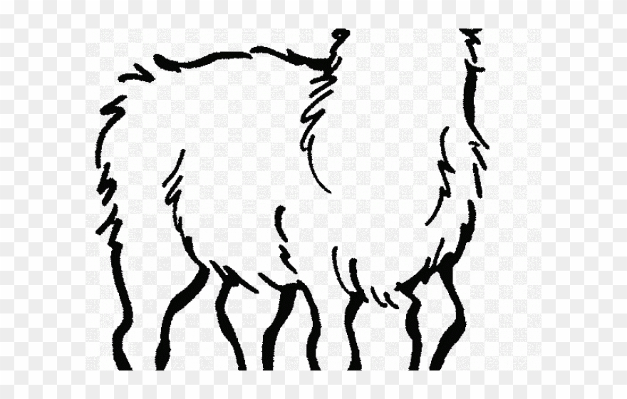 Alpaca Clipart Black And White - La Alpaca Para Colorear - Png Download