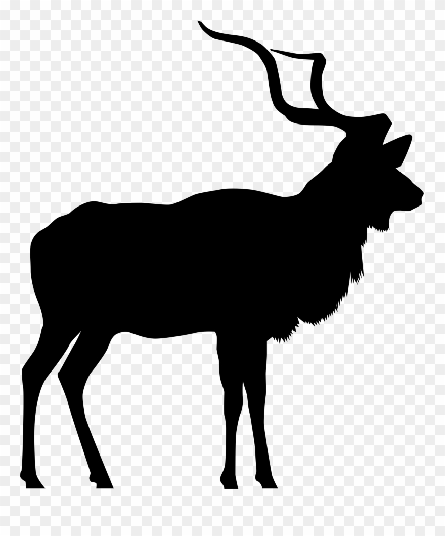 Collection Of Deer Head Silhouette - Kudu Clipart Silhouette - Png Download