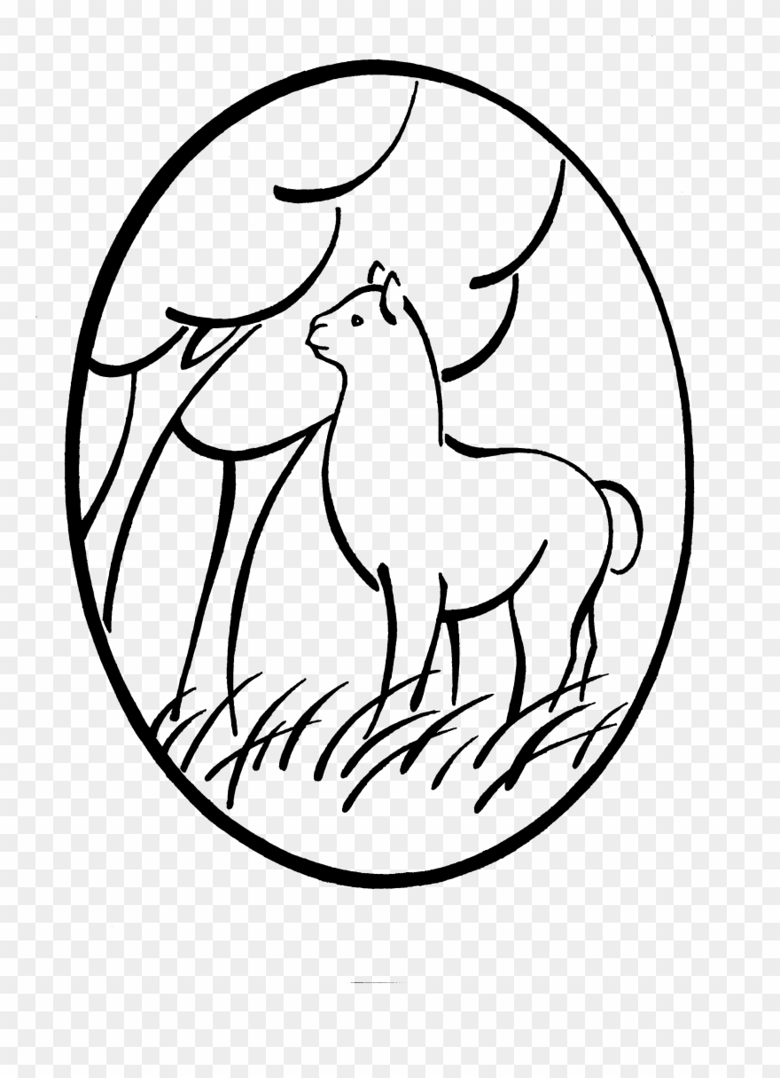 Alpaca Clip Art - Facebook - Png Download