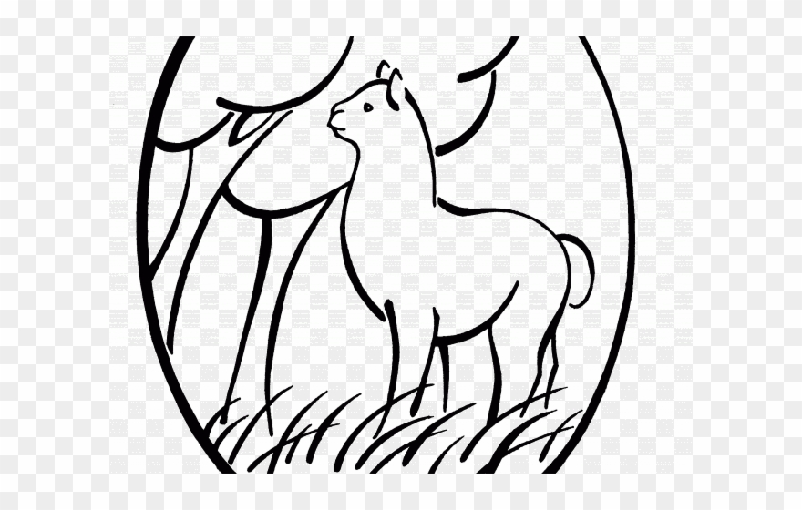 Head Clipart Alpaca - Facebook - Png Download