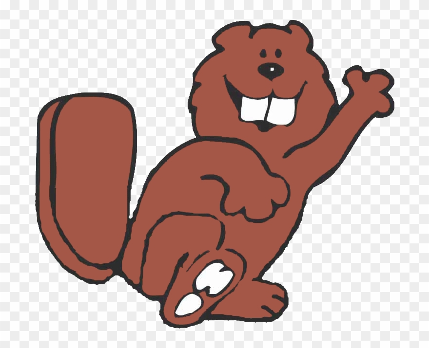 Cartoon Beaver - Cartoon Beaver Transparent Background Clipart