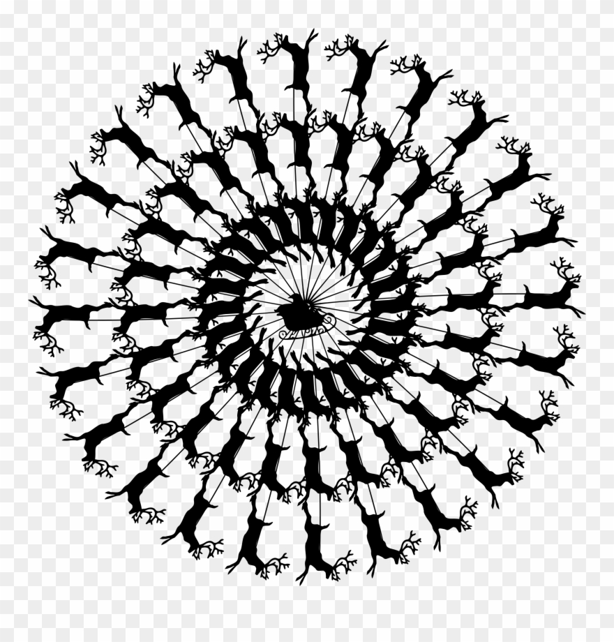 Snowflake Snow Winter Svg Png Icon Free Download - Clipart Flocon De Neige Transparent Png