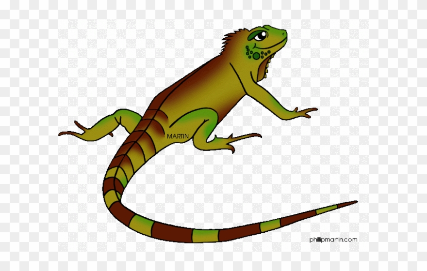 Iguana Clipart Galapagos Island - Iguana Pictures For Kids - Png Download