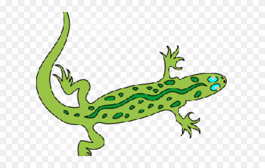 Green Iguana Clipart Geko - Lizard Clip Art - Png Download