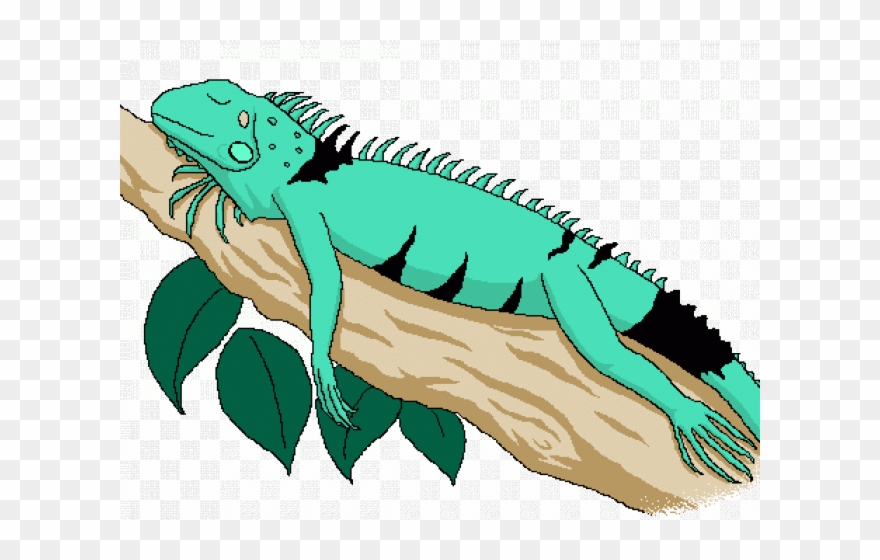 Iguana Clipart Face - Iguana - Png Download