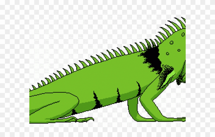 Green Iguana Clipart Lizard - Green Iguana - Png Download