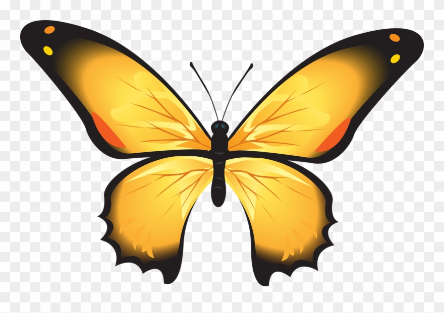 Yellow Butterfly Clipart 15, Buy Clip Art - Kupu Kupu Warna Kuning - Png Download