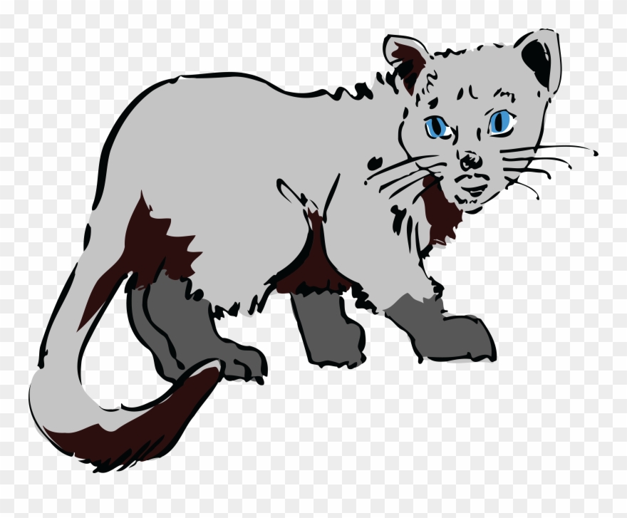 Free Clipart Of A Gray Cat - Cat Coloring Pages - Png Download