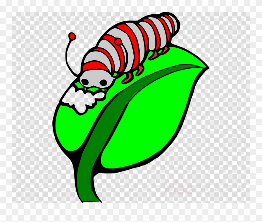 Caterpillar Eating Clipart The Very Hungry Caterpillar - Caterpillar Eating Clipart - Png Download