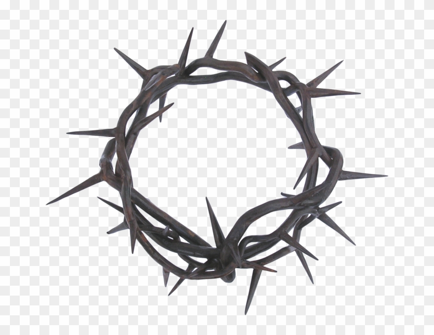 Crown Of Thorns Thorns, Spines, And Prickles Clip Art - Crown Of Thorns Png Transparent Png