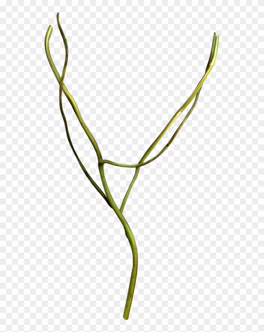 B *✿* Empty, My Music, My Dream, Clip Art - Png Download