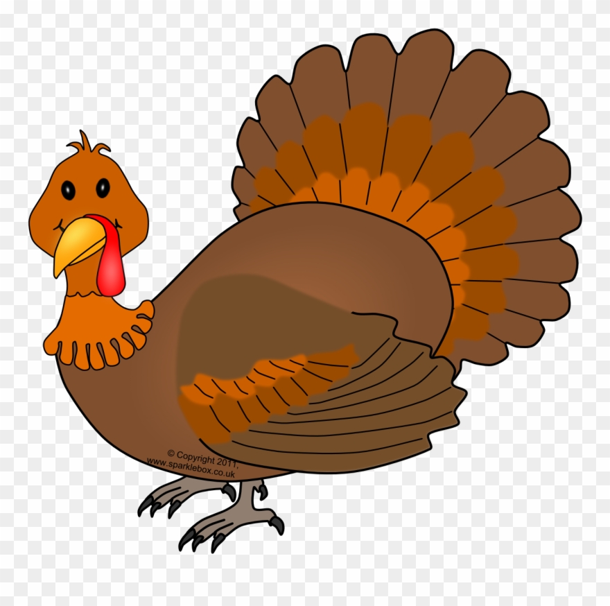 Happy Thanksgiving Turkey Pictures - Thanksgiving Borders Clipart