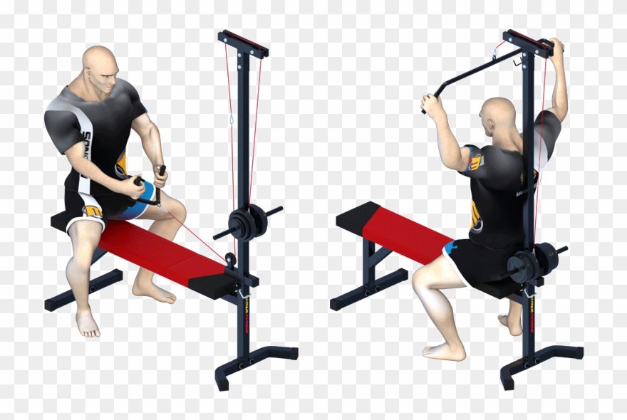 Pulley Exercises For A Stronger Back And Arms - Exercise Clipart