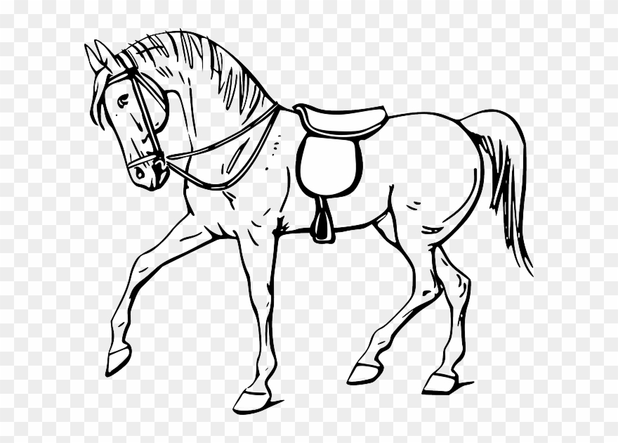 Horse Clipart Black And White - Png Download