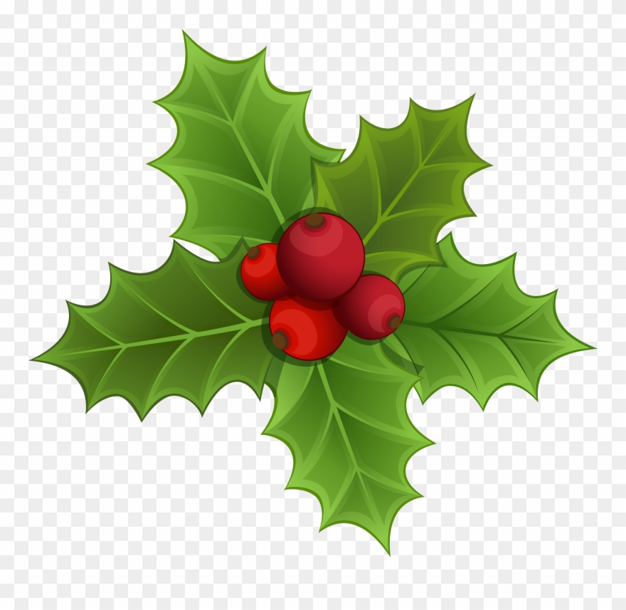 Mistletoe Border Png - Clipart Mistletoe Transparent Background