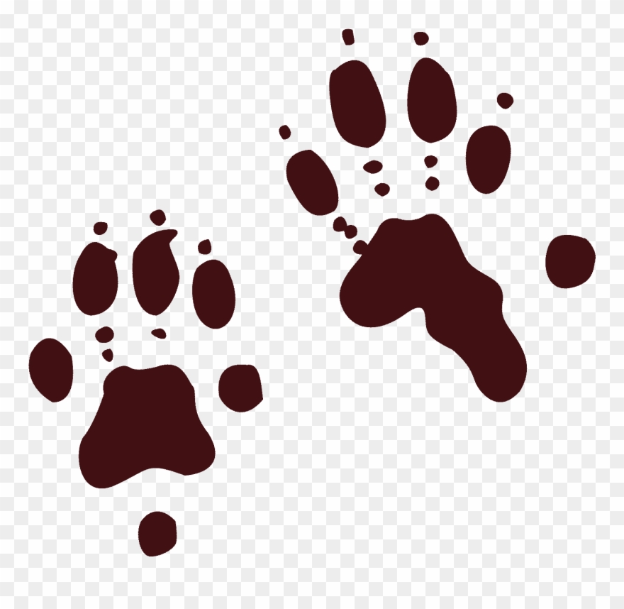 Kayaking Clipart Cartoon Otter - North American River Otter Paw Print - Png Download