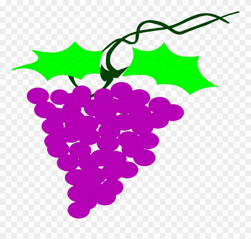 Grapes Free Stock Photo Illustration Of A - Uva Didactica Clipart