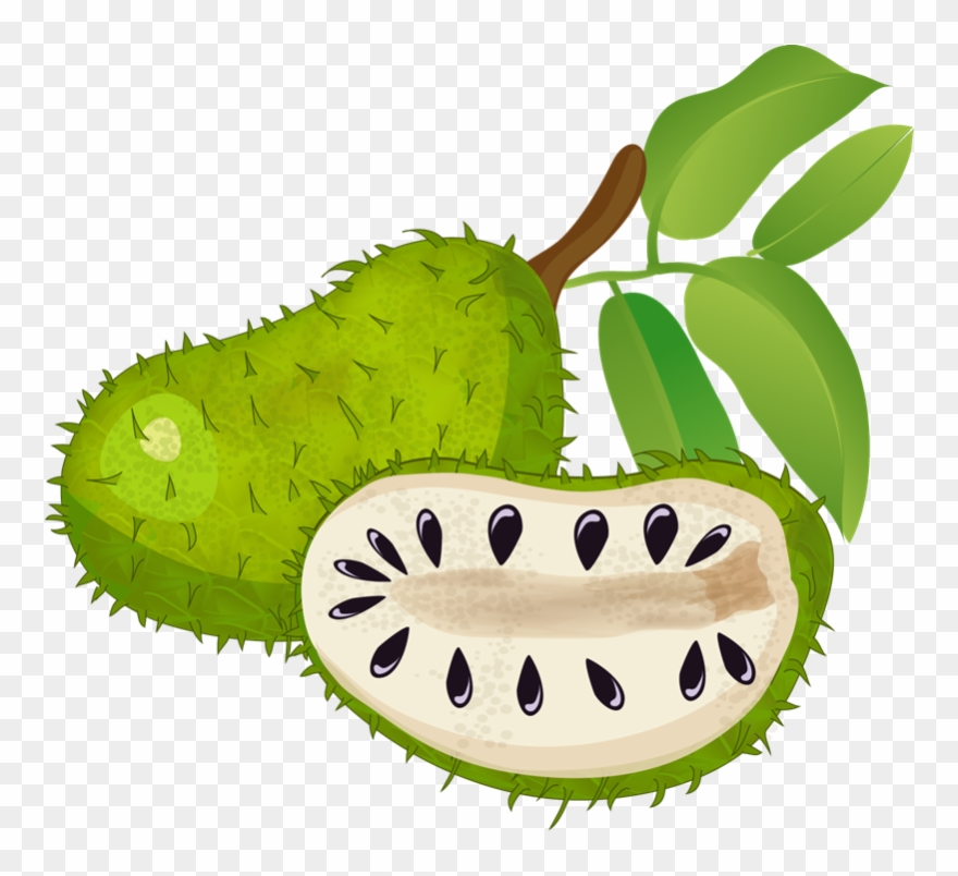 Clipartlord Com Exclusive Soursop Is A Tropical Fruit - Flavor Project 4oz Soursop Tea Powder - Matcha (70 - Png Download