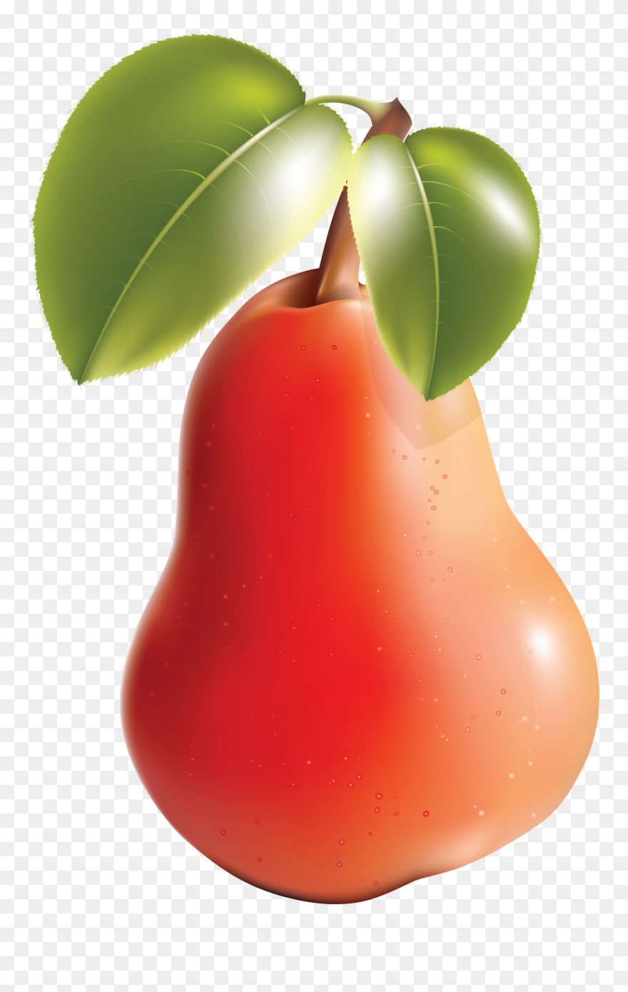 Png Photo, Pear, Clip Art, Illustrations - Free Vector Vegetables Transparent Png