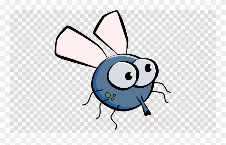 Download Fruit Fly Cartoon Png Clipart Drawing Clip - Cute Cartoon Fly Transparent Png