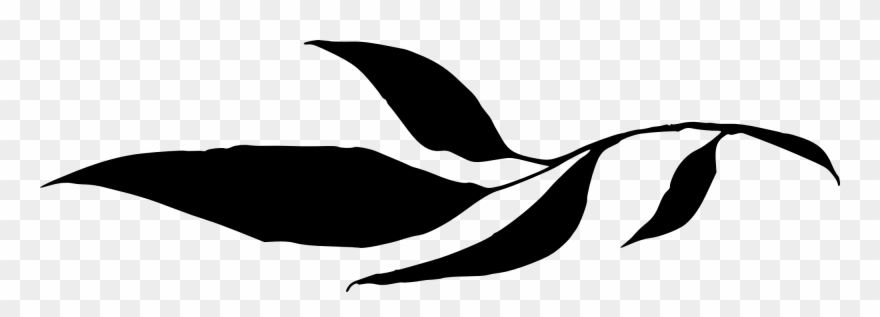 Free Download - Leaf Silhouette Png Clipart