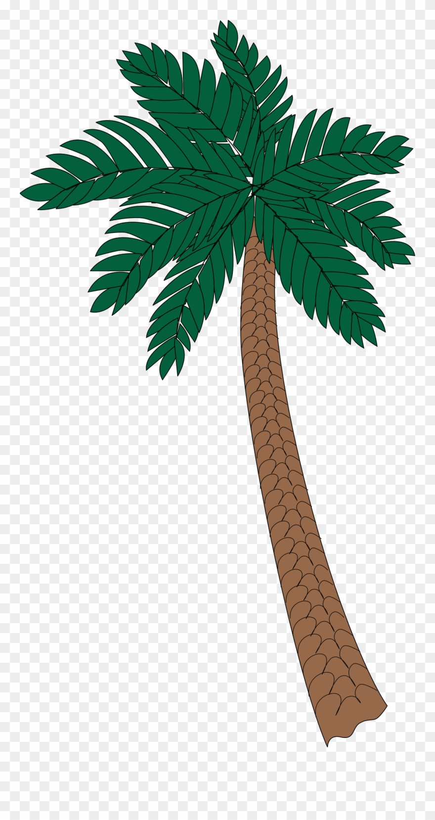 Palm - Palm Tree 2 Clipart