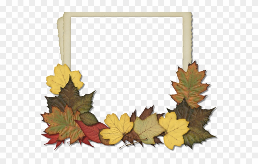 Maple Leaf Clipart Scrapbook - Coton De Tulear Note Cards - Png Download
