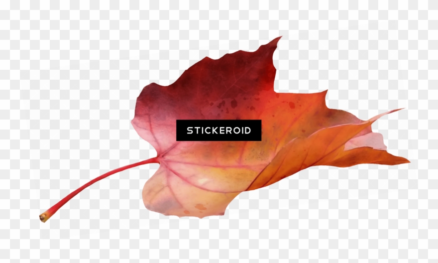 Maple Leaf Garland - Maple Leaf Clipart