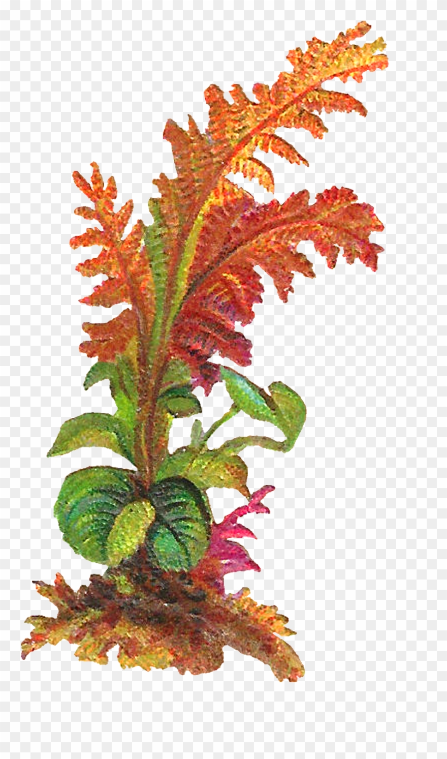 The Second Digital Leaves Download Is Also Designed Clipart