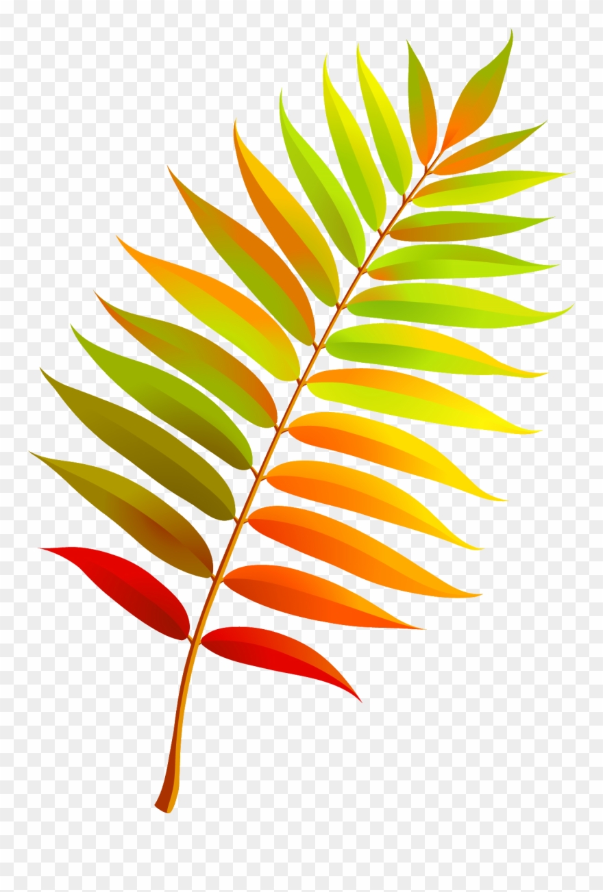 Autumn Leaves, Rubrics, Stencils, Clip Art, Flower - Осенние Листья Рябины - Png Download