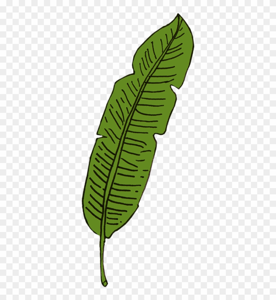 Fern Clipart Achievement Award - Award - Png Download