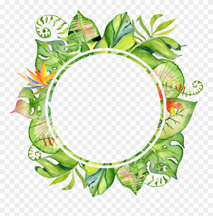 Get Transparent Background Silhouette Leaf Circle Border Png Pictures