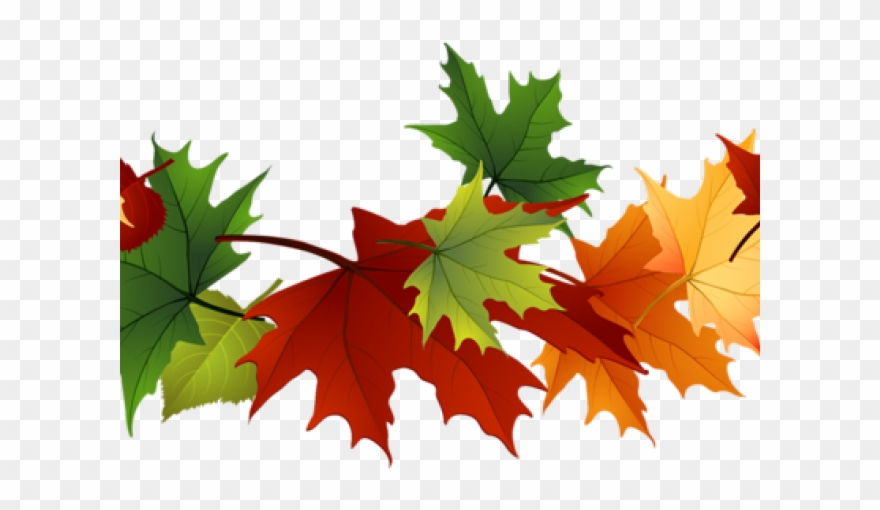 Foliage Free On Dumielauxepices Net Transparent - Transparent Fall Leaves Clip Art - Png Download