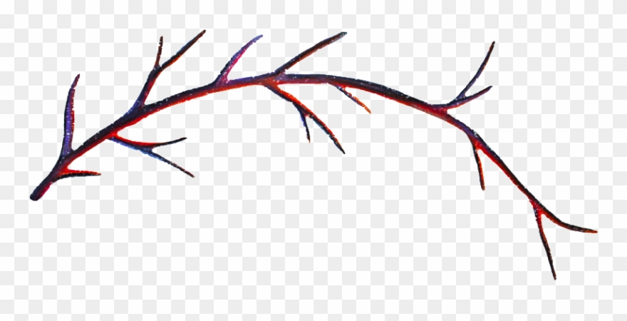 Autumn Branches Transparent Decorative This Backgrounds - Autumn Clipart