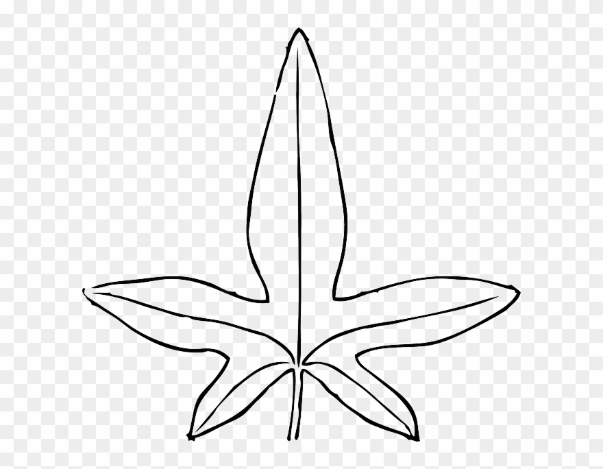 Black, Outline, Leaf, White, Template, Plant, Leaves - Leaves Clip Art - Png Download