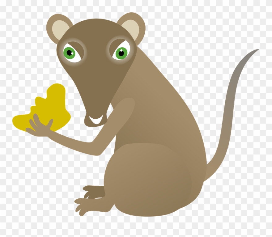Cartoon, Mouse, Rodent, Mammal, Animal, Cute, Cheese - Cartoon Rodent Clipart