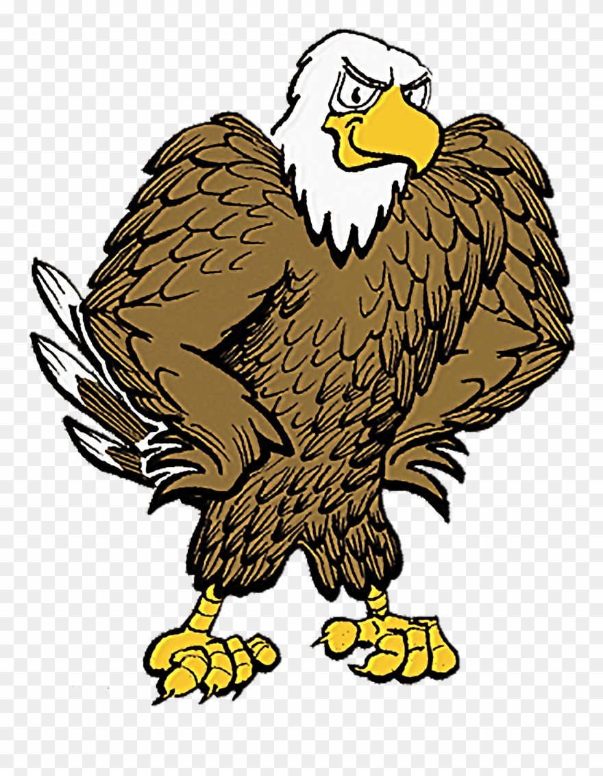 A Strong Foundation And Inspired Traditions - Funny Eagle Clip Art - Png Download