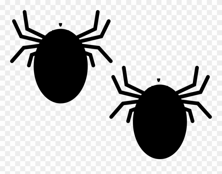 Vector Library Library Bedbugs Have Been Plaguing - Tick Bug Clipart Png Transparent Png