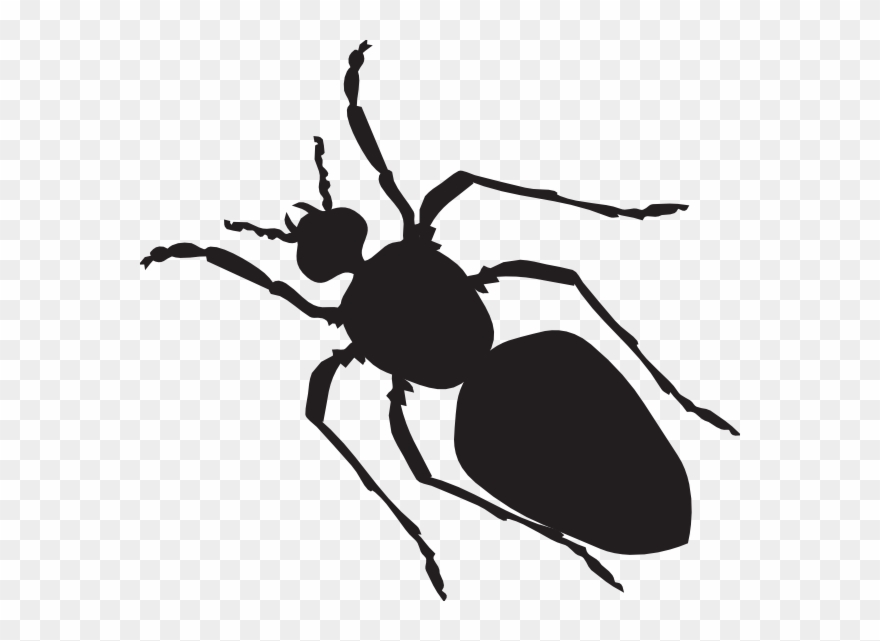 Black Ant Silhouette Clip Art - Ant Body Shape - Png Download