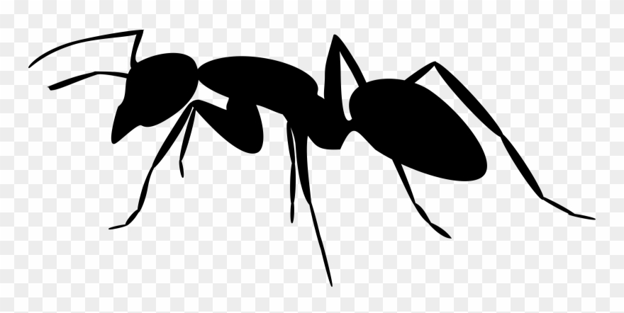 Ant Black And White Ant Clipart The - Ant Silhouette Png Transparent Png