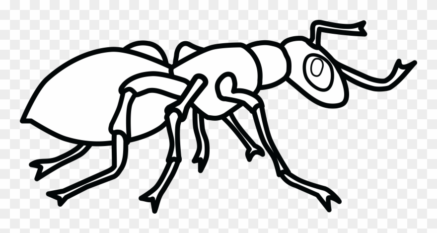 Free Clipart Of An Ant Free - Ant Images Clip Art Black And White - Png Download