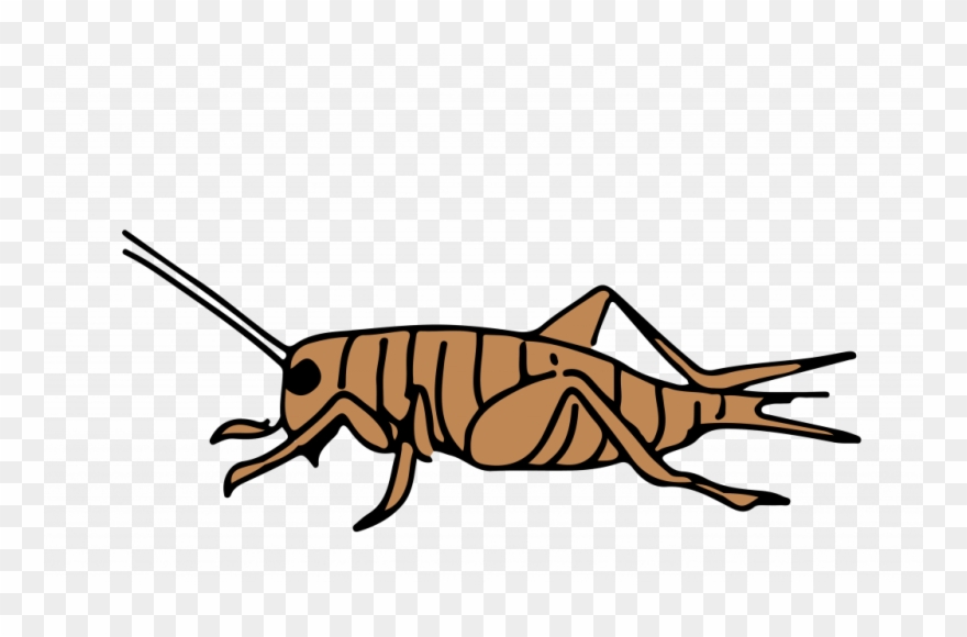 Three Of Years Ago, When I Was On The First Year Of - Clip Art - Png Download