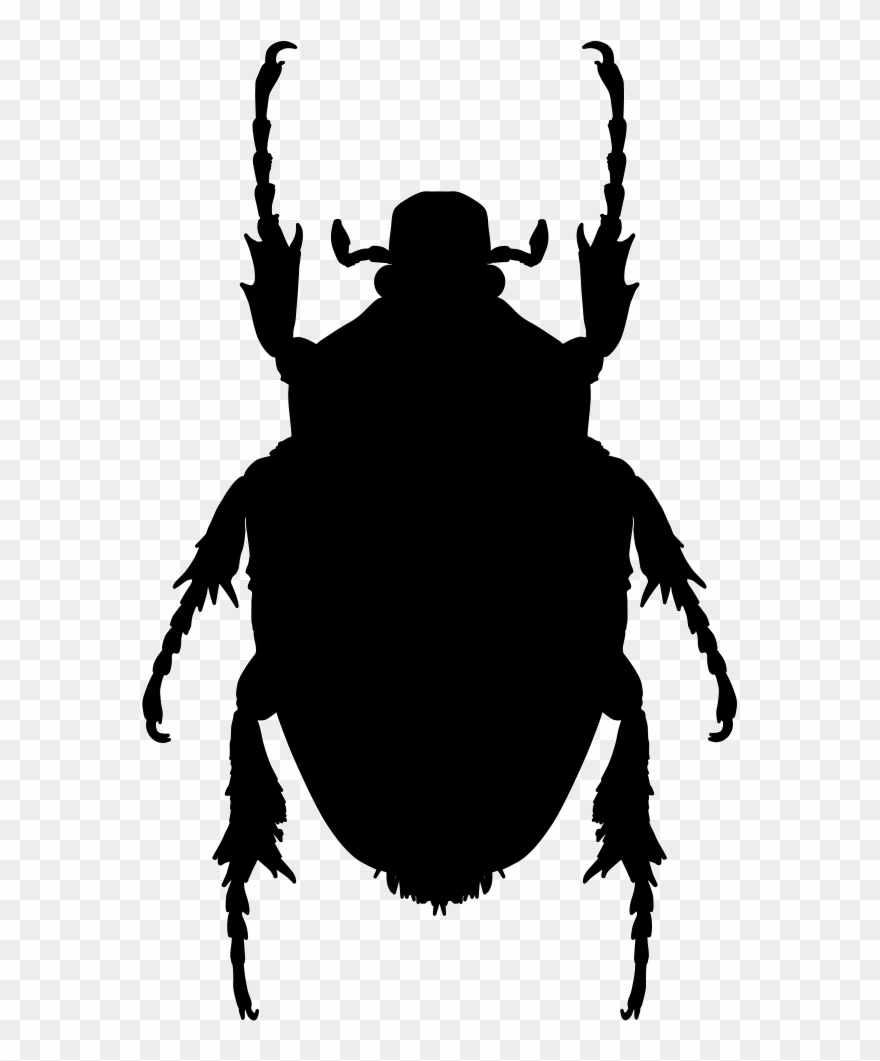 Insect Clipart Stink Bug - Insect - Png Download