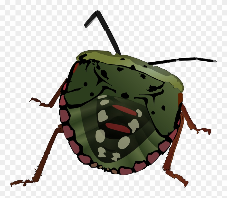 Lightning Bug Clipart - Bug Clip Art - Png Download