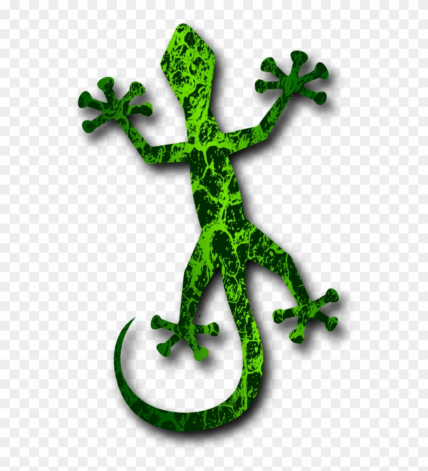 Footprint Clipart Gecko - Gecko Clipart No Background - Png Download