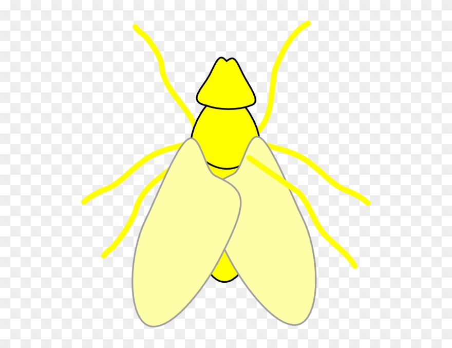 Rhinoceros Beetle Clipart